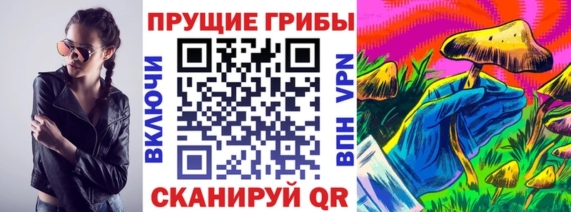 shop клад Любим Псилоцибиновые грибы Magic Shrooms купить цена